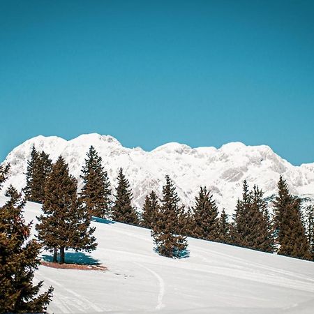 Chalet Neza Velika Planina Стаховица Экстерьер фото