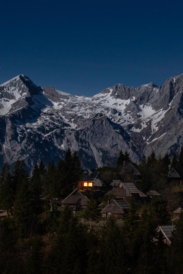 Chalet Neza Velika Planina Стаховица Экстерьер фото