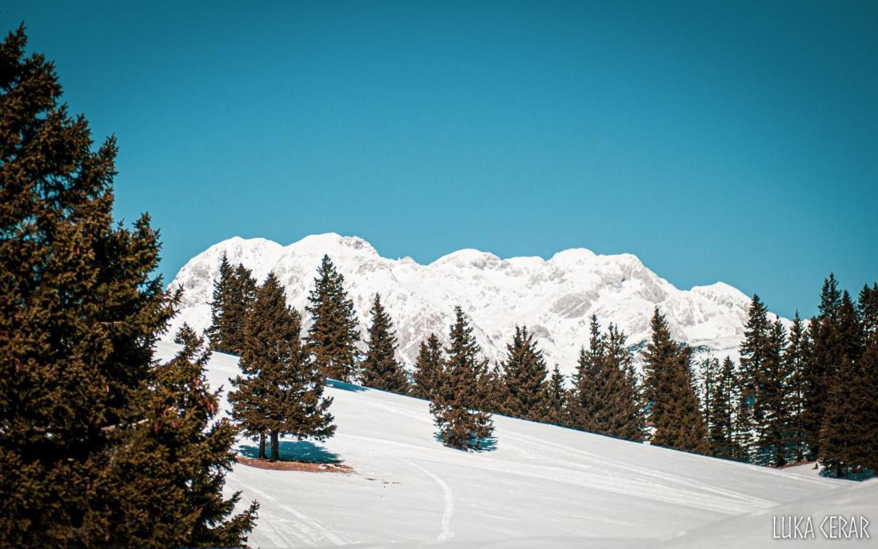 Chalet Neza Velika Planina Стаховица Экстерьер фото